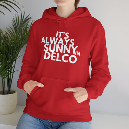 Always Sunny in Delco Hoodie