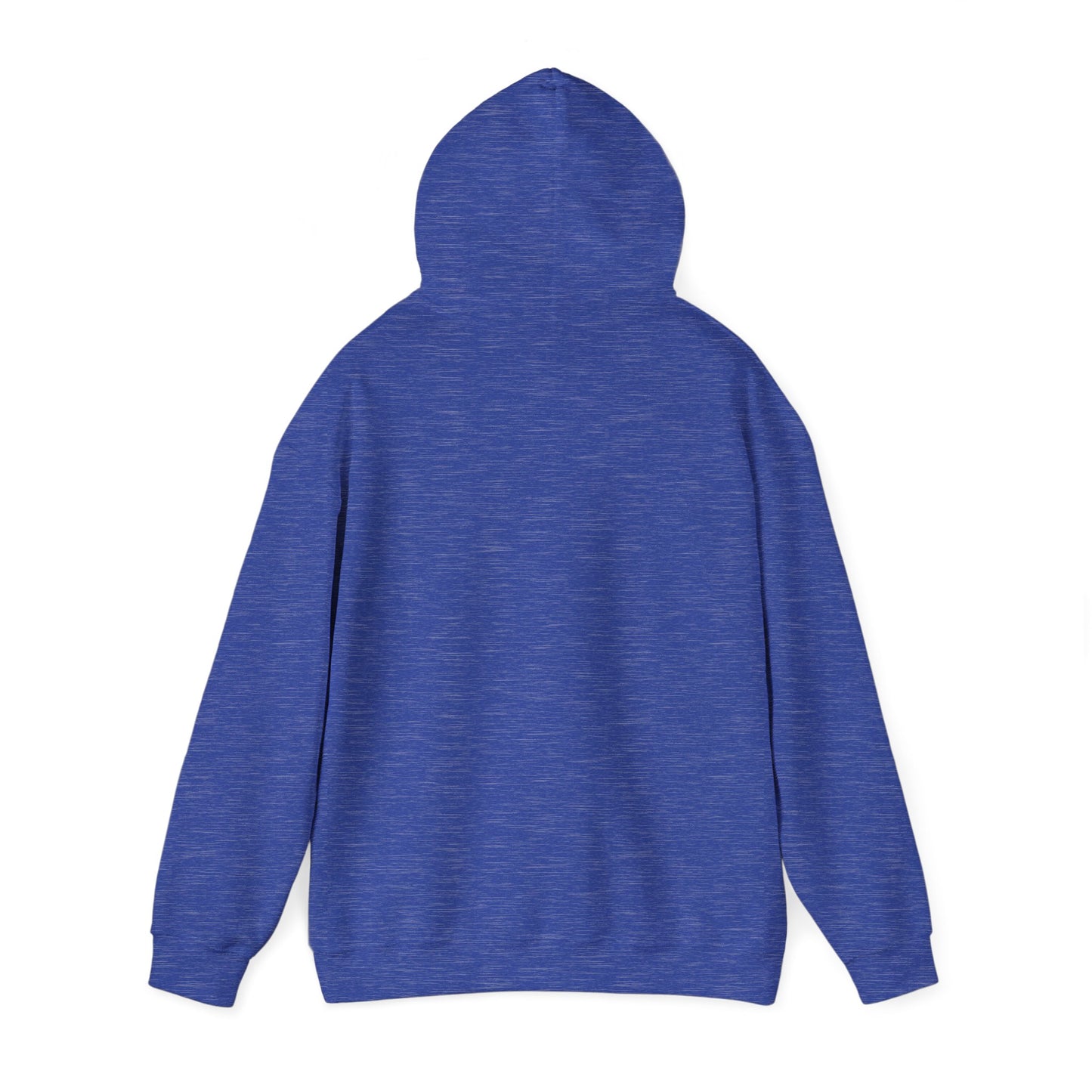 Barts Delco Hoodie