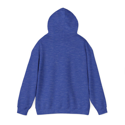 Barts Delco Hoodie