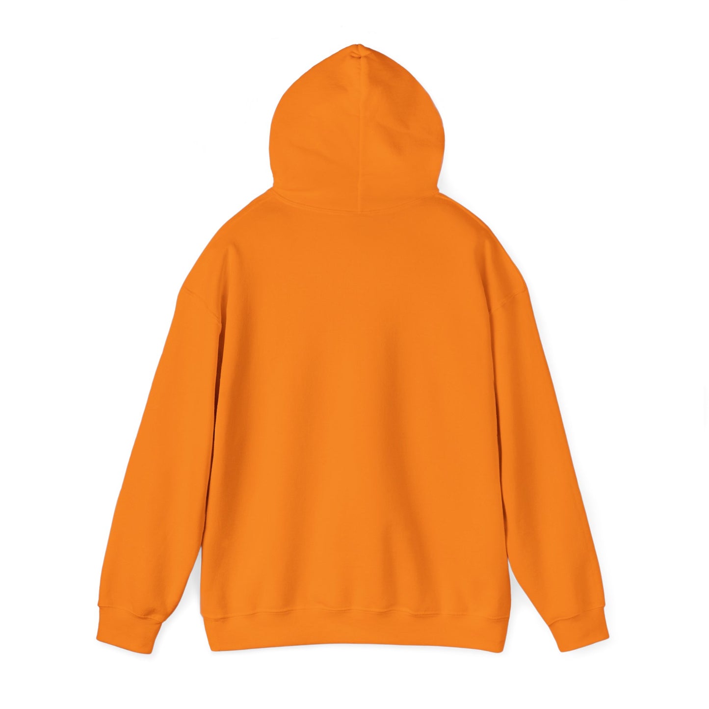 Thats what she said Delco Hoodie