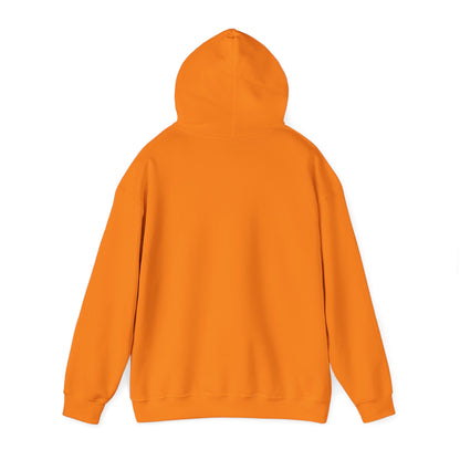 Thats what she said Delco Hoodie