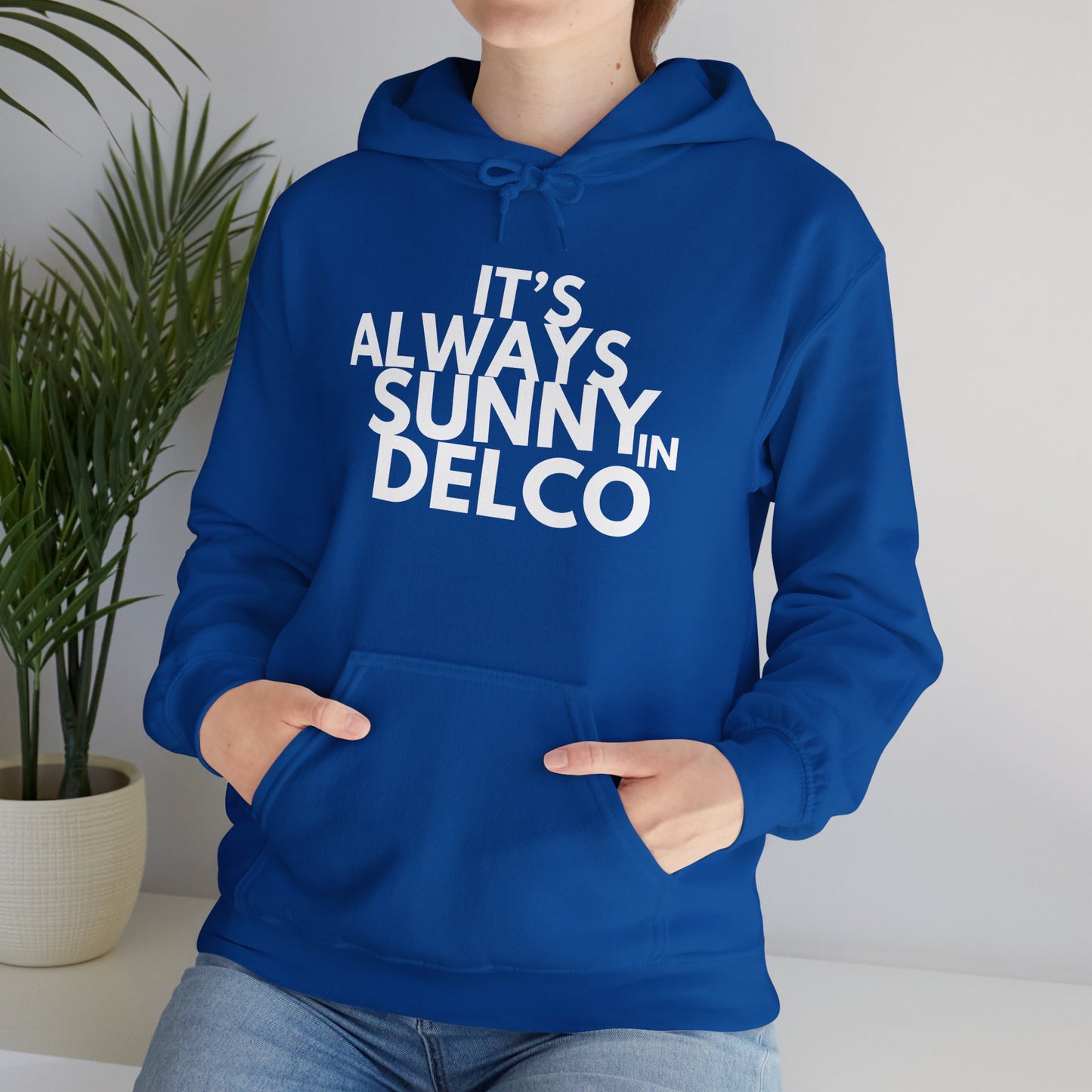 Always Sunny in Delco Hoodie