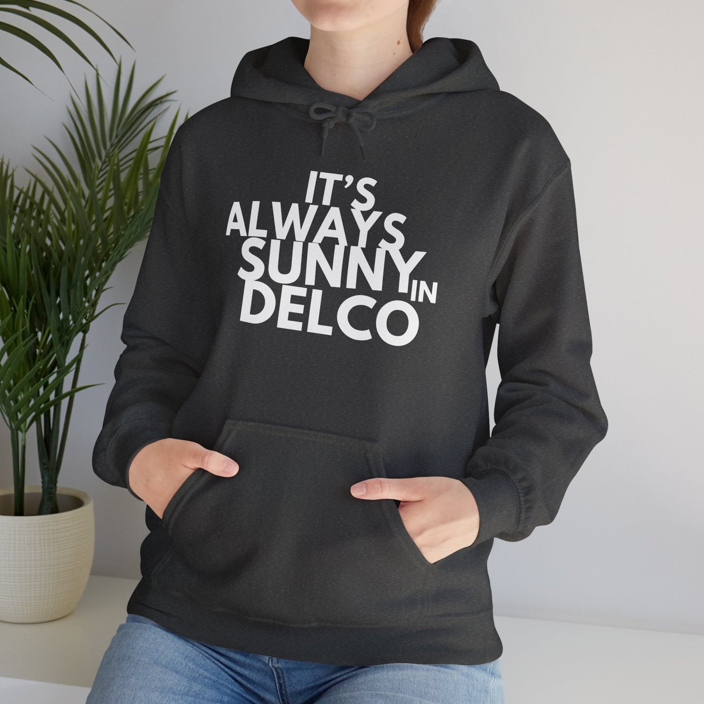 Always Sunny in Delco Hoodie