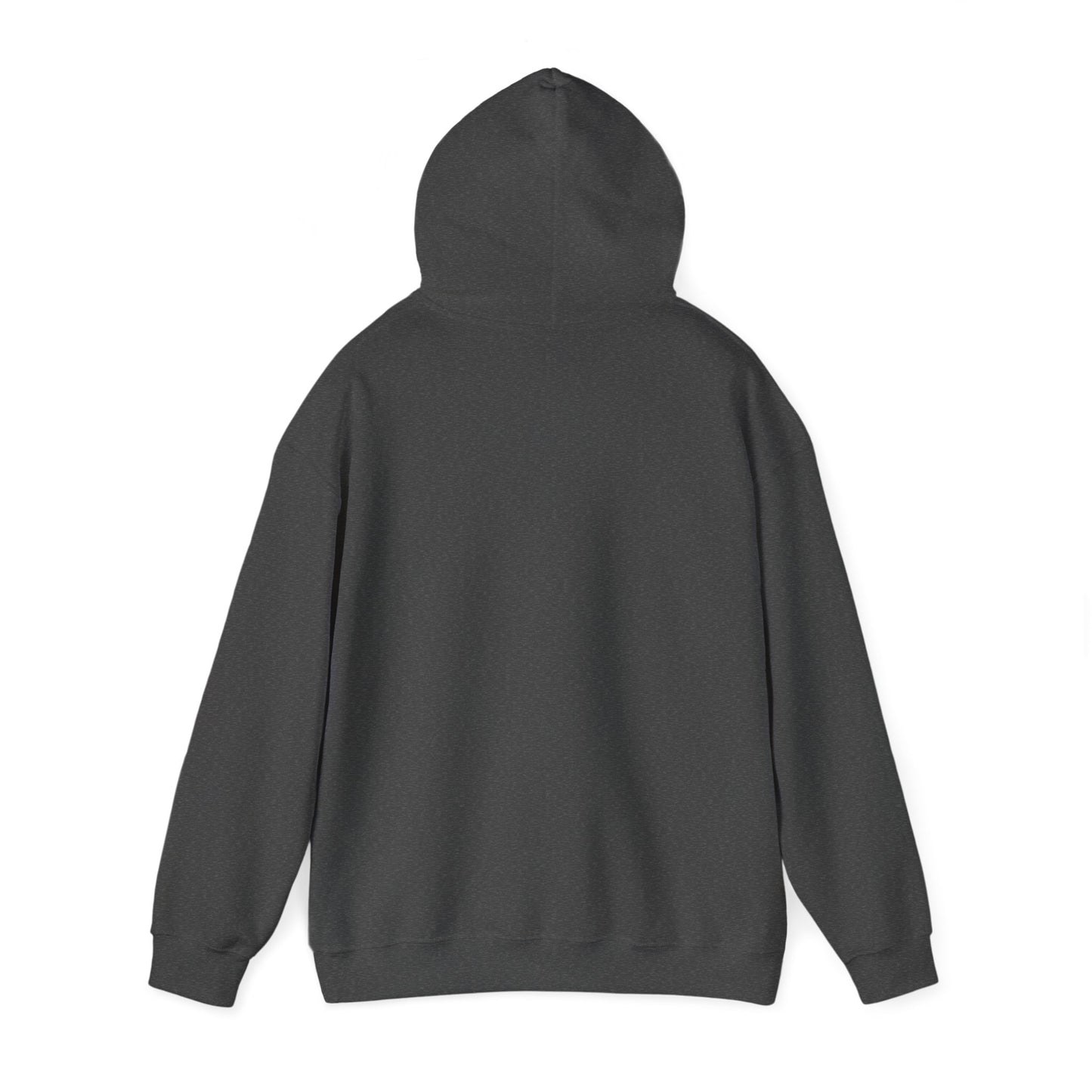 Barts Delco Hoodie