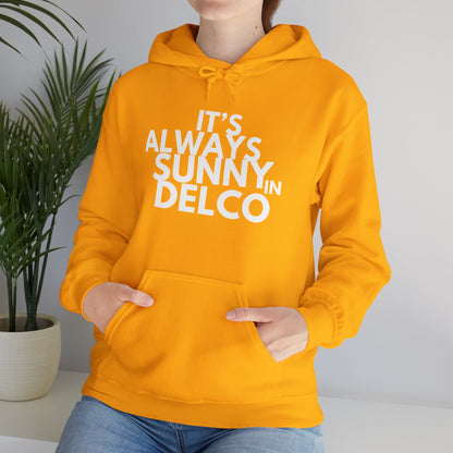 Always Sunny in Delco Hoodie