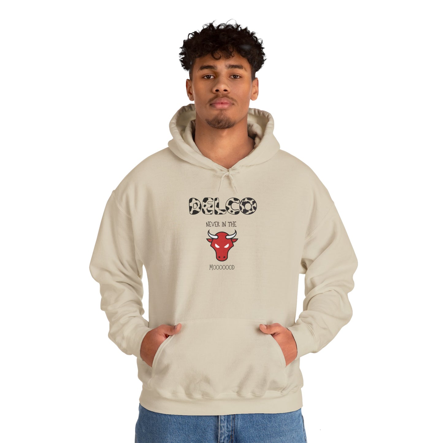 Never in the Mood Delco Hoodie