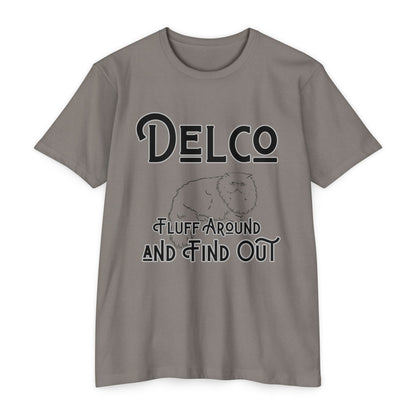 Fluff Around and Find Out CVC T-shirt