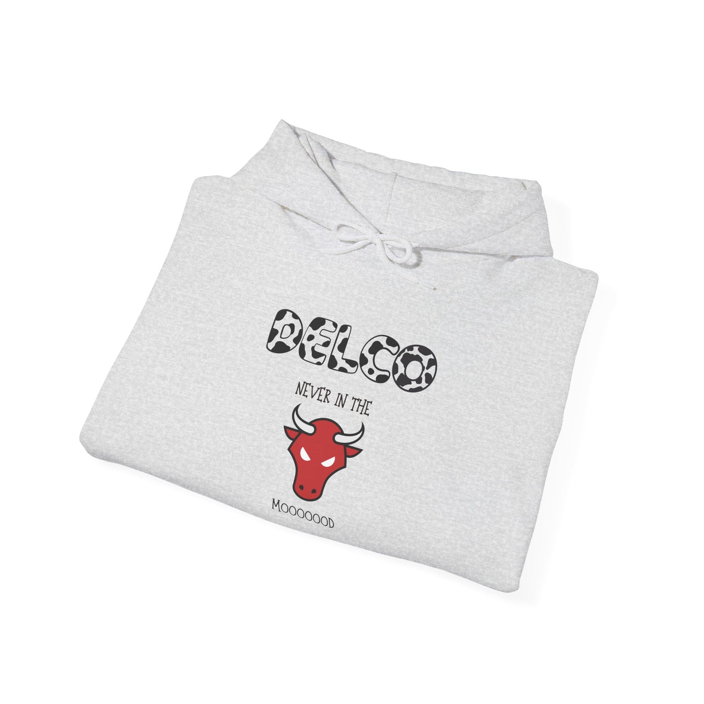 Never in the Mood Delco Hoodie